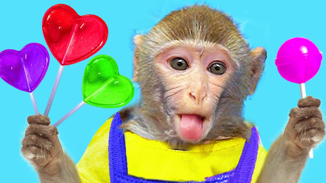 Mono KiKi descubre paletas de colores con sabor a frutas | Mono KiKi ESP