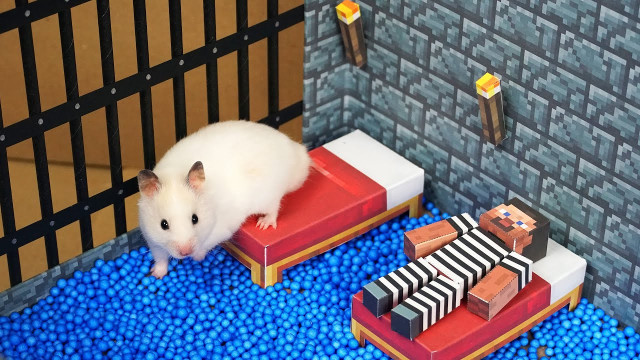 Hamster Escapes from the Minecraft Prison Maze